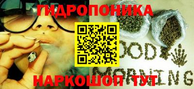 трава Тара