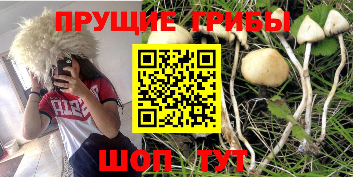 Галлюциногенные грибы Magic Shrooms Семёнов